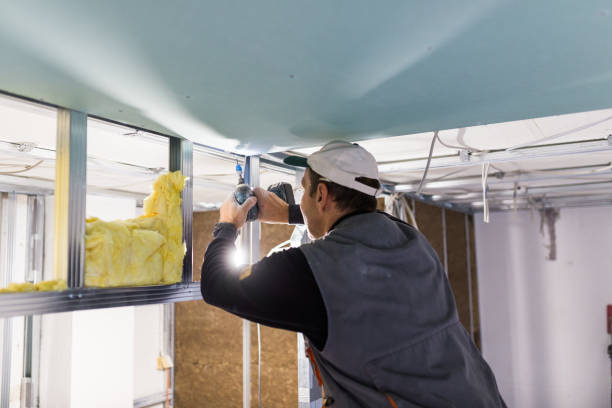 Insulation Replacement Services in Bellair Meadowbrook Terrace, FL